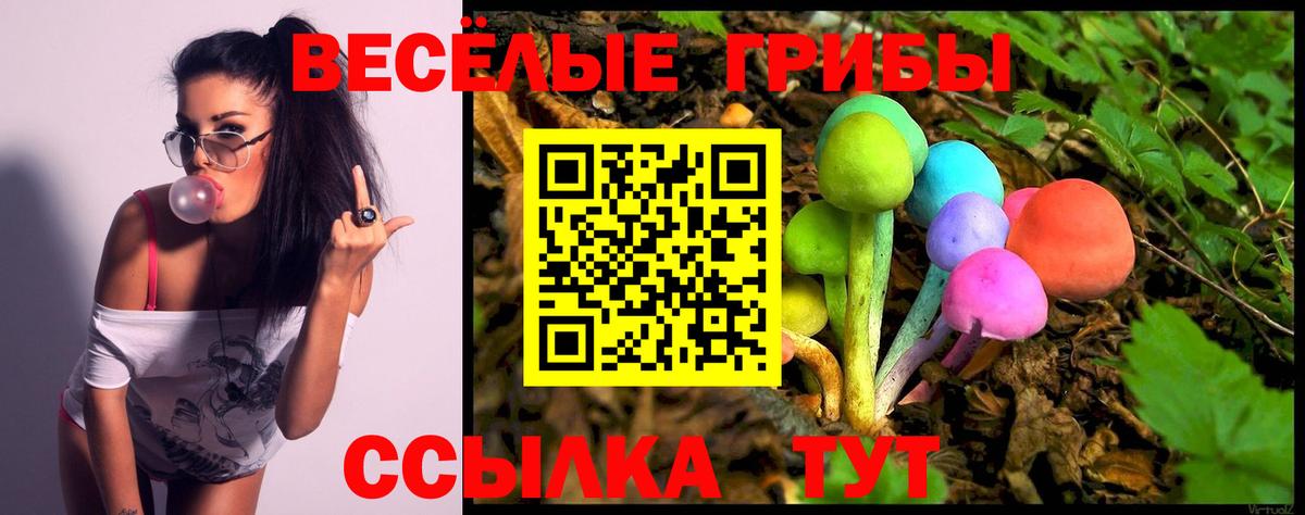 Галлюциногенные грибы прущие грибы  Галлюциногенные грибы GOLDEN TEACHER  Вход с VPN  Нефтеюганск 