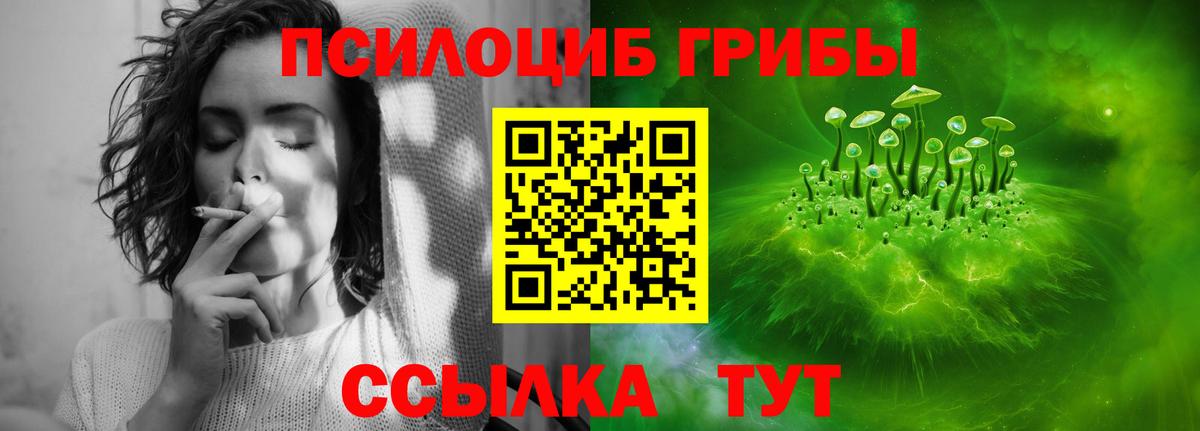 Галлюциногенные грибы Psilocybe Нефтеюганск